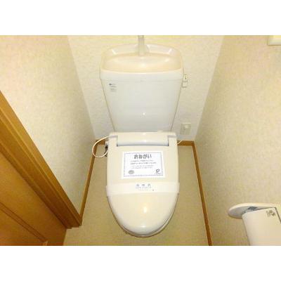 メゾン田園シャトーＢ館 202【管理NO：1-013218602-02020】 ★家具家電は申し込み後に搬入します★ ★2026年10月上旬入居可能★の物件画像