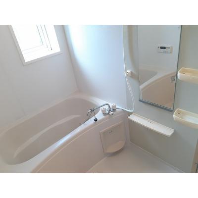 エバーグリーン 203【管理NO：1-015393501-02030】 ★家具家電は申し込み後に搬入します★ ★2026年09月中旬入居可能★の物件画像