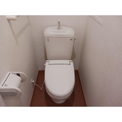 リーヴ・ルピナス 203【管理NO：1-014644701-02030】 ★家具家電は申し込み後に搬入します 2026年09月中旬入居可能の物件画像