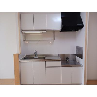 サウスプレイス・ルポス 201【管理NO：1-017344501-02010】 ★家具家電は申し込み後に搬入します 2026年09月下旬入居可能の物件画像