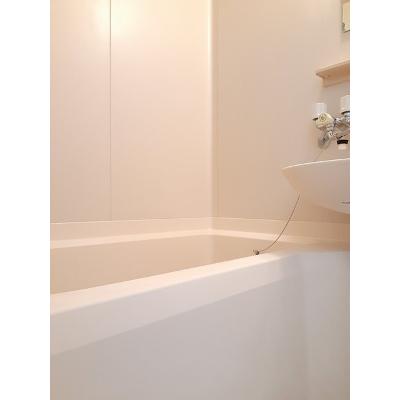 セントポーリアＳＴ 205【管理NO：1-002389001-02040】 ★家具家電は申し込み後に搬入します★の物件画像