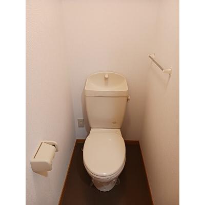 パイナス 105【管理NO：1-011967301-01040】 ★家具家電は申し込み後に搬入します 2026年09月中旬入居可能の物件画像