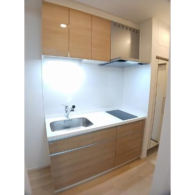 たばさはうすⅡ 307【管理NO：1-028176701-03070】 ★家具家電は申し込み後に搬入します★の物件画像