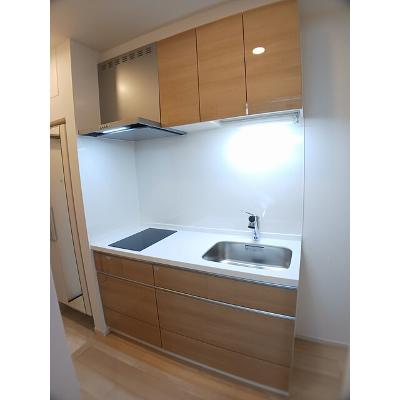 たばさはうすⅡ 306【管理NO：1-028176701-03060】 ★家具家電は申し込み後に搬入しますの物件画像