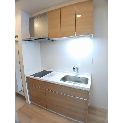 たばさはうすⅡ 304【管理NO：1-028176701-03040】 ★家具家電は申し込み後に搬入します★の物件画像