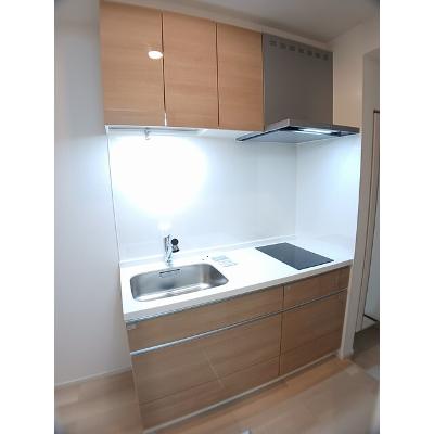 たばさはうすⅡ 105【管理NO：1-028176701-01050】 ★家具家電は申し込み後に搬入します★の物件画像