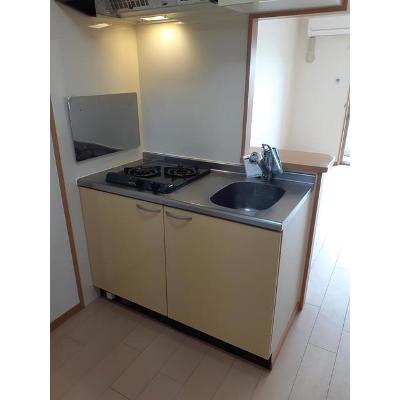 ラ　フローラ 302【管理NO：1-014439901-03020】 ★家具家電は申し込み後に搬入します★の物件画像