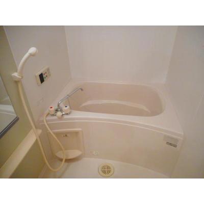 サンシャイン花の木 203【管理NO：1-012537201-02030】 ★家具家電は申し込み後に搬入します★ ★2026年10月中旬入居可能★の物件画像