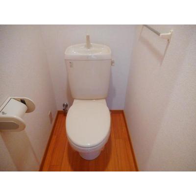 サンシャイン花の木 203【管理NO：1-012537201-02030】 ★家具家電は申し込み後に搬入します★ ★2026年10月中旬入居可能★の物件画像