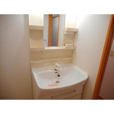サンシャイン花の木 203【管理NO：1-012537201-02030】 ★家具家電は申し込み後に搬入します★ ★2026年10月中旬入居可能★の物件画像