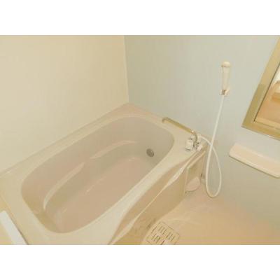 エルメゾン 203【管理NO：1-018872301-02030】 ★家具家電は申し込み後に搬入します★ ★2026年10月中旬入居可能★の物件画像