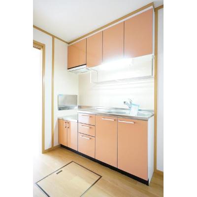 ブリッサ桜岡Ｆ 102【管理NO：1-013291902-01020】 ★家具家電は申し込み後に搬入します★ ★2026年09月中旬入居可能★の物件画像