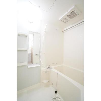 ブリッサ桜岡Ｆ 102【管理NO：1-013291902-01020】 ★家具家電は申し込み後に搬入します★ ★2026年09月中旬入居可能★の物件画像