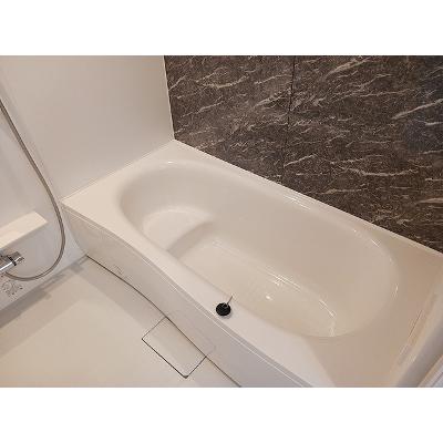 セナ 202【管理NO：1-028337901-02020】 ★家具家電は申し込み後に搬入します★ ★2026年09月上旬入居可能★の物件画像