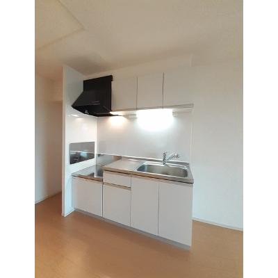 サウス　タウン 203【管理NO：1-019951501-02030】 ★家具家電は申し込み後に搬入します★ ★2026年08月中旬入居可能★の物件画像