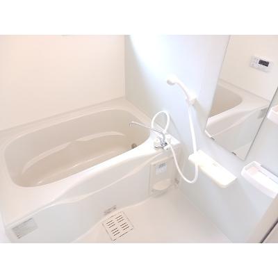 セレーナ　ヴィータ 201【管理NO：1-019718501-02010】 ★家具家電は申し込み後に搬入します★の物件画像