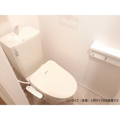 パイオニア　伏 206【管理NO：1-028683101-02050】 ★家具家電は申し込み後に搬入します★ ★2026年12月下旬入居可能★の物件画像