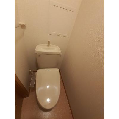 グラン・リーオ 705【管理NO：1-012400401-07050】 ★家具家電は申し込み後に搬入します★ ★2026年09月中旬入居可能★の物件画像