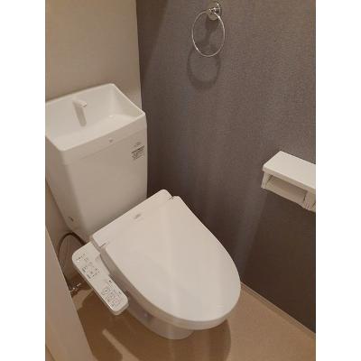 エバーグリーンＤ 207【管理NO：1-027493601-02060】 ★家具家電は申し込み後に搬入します★ ★2026年08月下旬入居可能★の物件画像