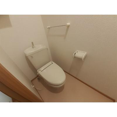 プラシードⅡ 202【管理NO：1-013325901-02020】 ★家具家電は申し込み後に搬入します★ ★2026年09月中旬入居可能★の物件画像