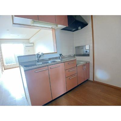 メゾン　ド　リジェールＳ 210【管理NO：1-012234601-02100】 ★家具家電は申し込み後に搬入します★の物件画像