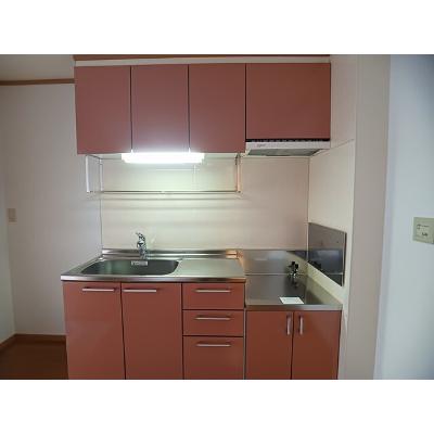 ピュアパレスⅣ 101【管理NO：1-012589701-01010】 ★家具家電は申し込み後に搬入します★ ★2026年09月下旬入居可能★の物件画像