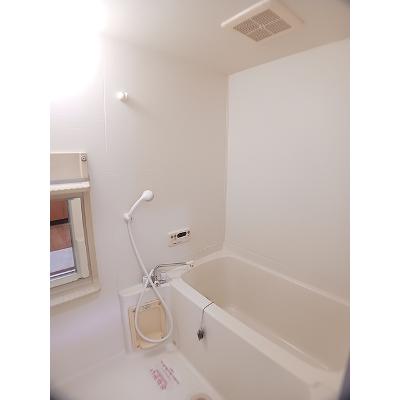 ピアシェ－レ山崎 503【管理NO：1-009622701-05030】 ★家具家電は申し込み後に搬入します★の物件画像