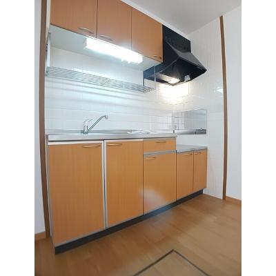 セリーヌ　Ⅲ 103【管理NO：1-010103402-01030】 ★家具家電は申し込み後に搬入します★の物件画像