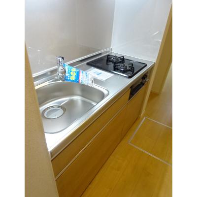 シリウス柏 103【管理NO：1-025006601-01030】 ★家具家電は申し込み後に搬入します★の物件画像