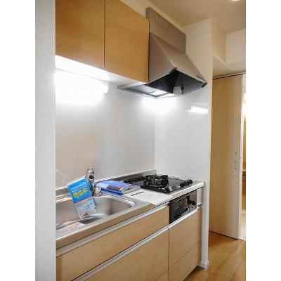 クリーン・カーサ東島 201【管理NO：1-019234701-02010】 ★家具家電は申し込み後に搬入します★ ★2026年10月上旬入居可能★の物件画像