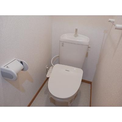 アルバ　ヴィアーレ　２ 101【管理NO：1-013641102-01010】 ★家具家電は申し込み後に搬入します★ ★2026年09月中旬入居可能★の物件画像