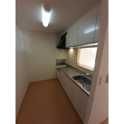 サンローラＢ 203【管理NO：1-015753702-02030】 ★家具家電は申し込み後に搬入します★ ★2026年09月中旬入居可能★の物件画像