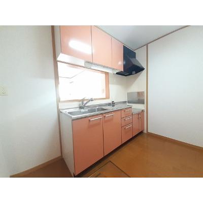 シンヴィオシスＤ 102【管理NO：1-013425004-01020】 ★家具家電は申し込み後に搬入します★の物件画像