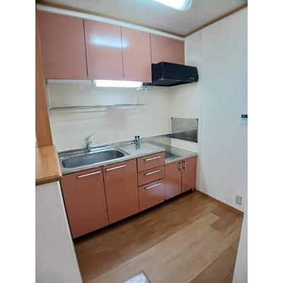 セルバ・リ－オ 206【管理NO：1-012722701-02050】 ★家具家電は申し込み後に搬入します★ ★2026年09月下旬入居可能★の物件画像