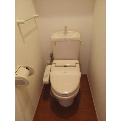 パラッツォ津島 105【管理NO：1-013966201-01040】 ★家具家電は申し込み後に搬入します★ ★2026年10月中旬入居可能★の物件画像