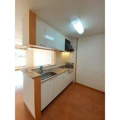 ノーブルＲ・Ｓ　Ａ 203【管理NO：1-013703101-02030】 ★家具家電は申し込み後に搬入します★ ★2026年09月中旬入居可能★の物件画像