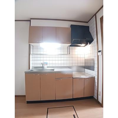 プラティークＢ 102【管理NO：1-011635001-01020】 ★家具家電は申し込み後に搬入します★の物件画像