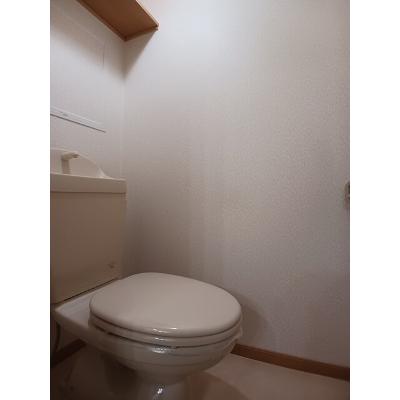 サンパティーク 307【管理NO：1-012026501-03060】 ★家具家電は申し込み後に搬入します★の物件画像