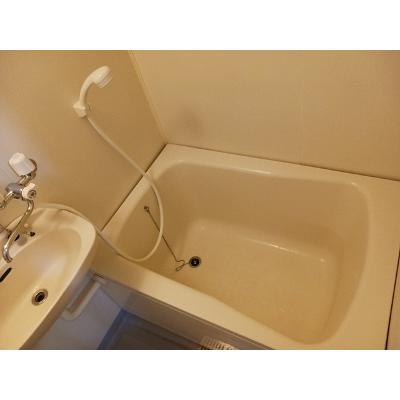 エルディム稲和Ａ 201【管理NO：1-003916201-02010】 ★家具家電は申し込み後に搬入します★の物件画像