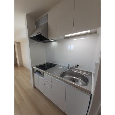 スカイサウス 201【管理NO：1-024029301-02010】 ★家具家電は申し込み後に搬入します★の物件画像