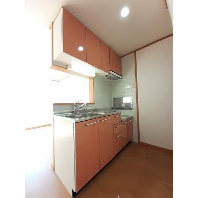 プラシードカーサⅠ 202【管理NO：1-012573101-02020】 ★家具家電は申し込み後に搬入します★の物件画像