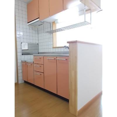 ベルフラワー鳥越 203【管理NO：1-012132201-02030】 ★家具家電は申し込み後に搬入します★ ★2026年09月下旬入居可能★の物件画像
