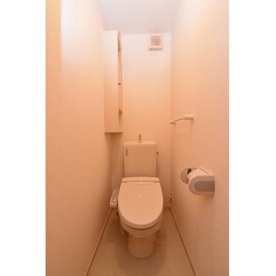 ハーレーⅠ 203【管理NO：1-020286901-02030】 ★家具家電は申し込み後に搬入します★ ★2026年10月上旬入居可能★の物件画像