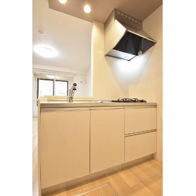 ラフィネＳＫＭ－Ⅲ 107【管理NO：1-026048902-01060】 ★家具家電は申し込み後に搬入します★の物件画像