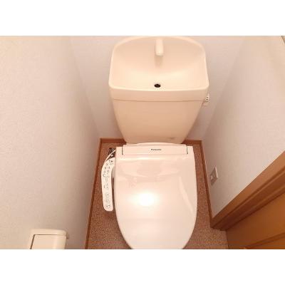 メゾンルミエール 102【管理NO：1-012300401-01020】 ★家具家電は申し込み後に搬入します★ ★2026年09月下旬入居可能★の物件画像