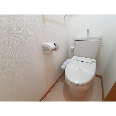 メゾンリヴェール 203【管理NO：1-015267201-02030】 ★家具家電は申し込み後に搬入します★ ★2026年10月中旬入居可能★の物件画像