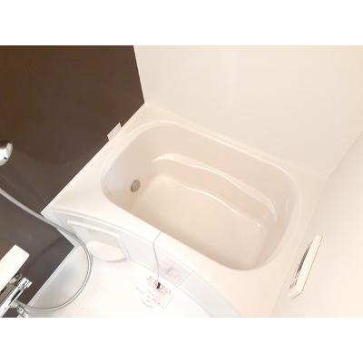 ティープラント朝日 208【管理NO：1-021532501-02070】 ★家具家電は申し込み後に搬入します★ ★2026年09月下旬入居可能★の物件画像