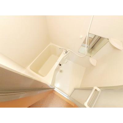 エヴァーグリーンＭ 506【管理NO：1-013786001-05050】 ★家具家電は申し込み後に搬入します★ ★2026年10月上旬入居可能★の物件画像