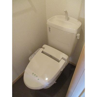 グレイス・コート 202【管理NO：1-016644101-02020】 ★家具家電は申し込み後に搬入します★ ★2026年10月上旬入居可能★の物件画像