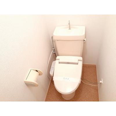 パステルＭ１ 102【管理NO：1-004833101-01020】 ★家具家電は申し込み後に搬入します★ ★2027年01月中旬入居可能★の物件画像